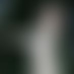 Assya, Une femme, 38 ans, Messancy (2)