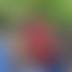 Suzanne_58, Une femme, 35 ans, Péruwelz (2)